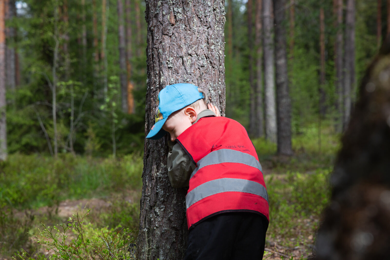 Varhaiskasvatuksen toimintaa arvioidaan Päijät-Hämeessä